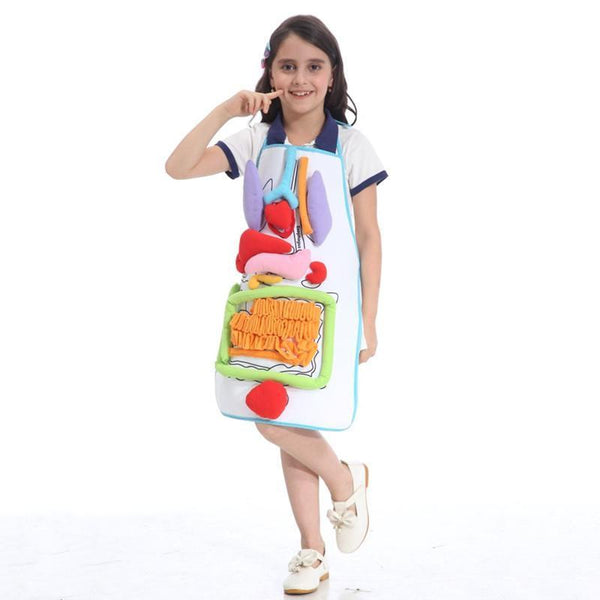 Anatomy Apron