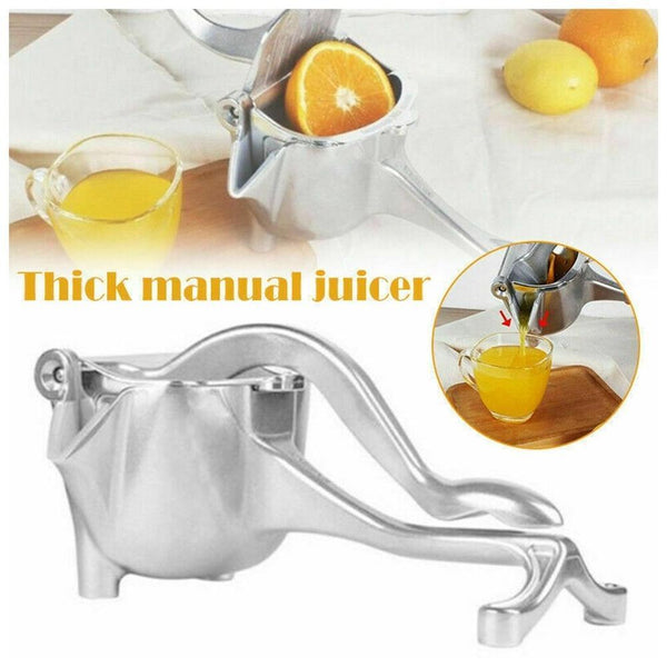 Stainless Steel Fruit Juicer