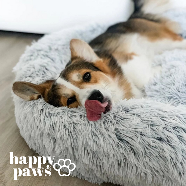 Happy Paws™ Anti-Anxiety Calming Dog Bed