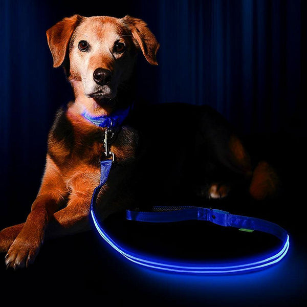 MuttGuard™ Visibility Leash