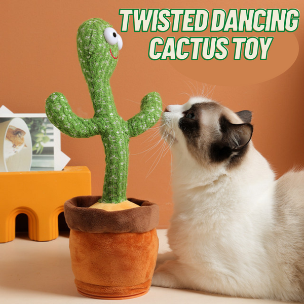 [PROMO 30% OFF] Twisted Dancing Cactus Toy