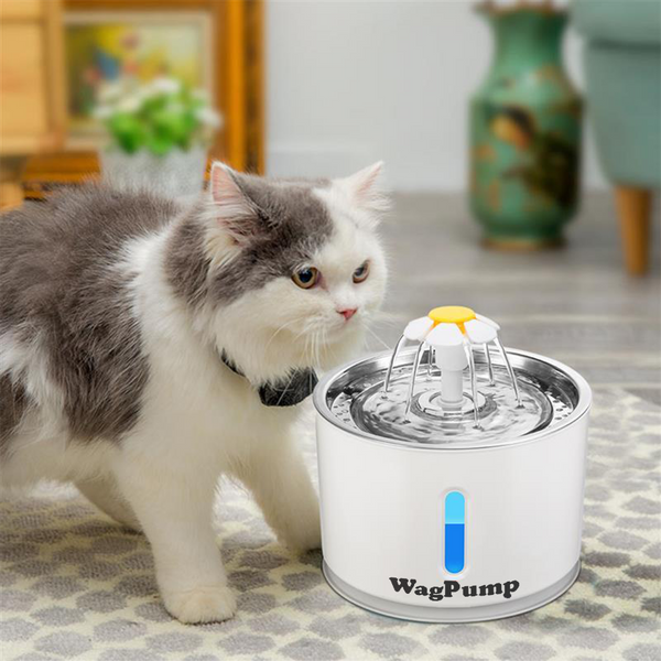 Automatic Pet Drinking Water Fountain