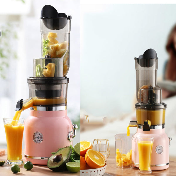 High Nutrient Fruit Vegetable Mixer