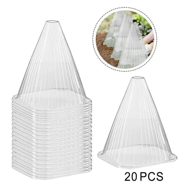 Translucent PET Plant Containers