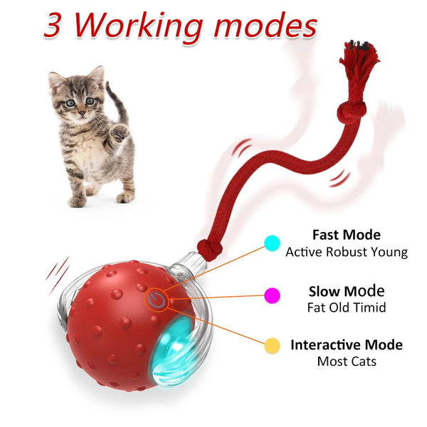 Interactive Cat Toy Ball with Chirping Sounds