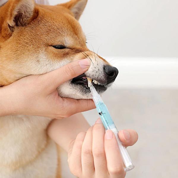 Pet Teeth Repairing Kit